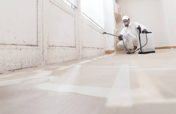 24/7 Emergency Black Mold Removal experts in Basking Ridge, NJ